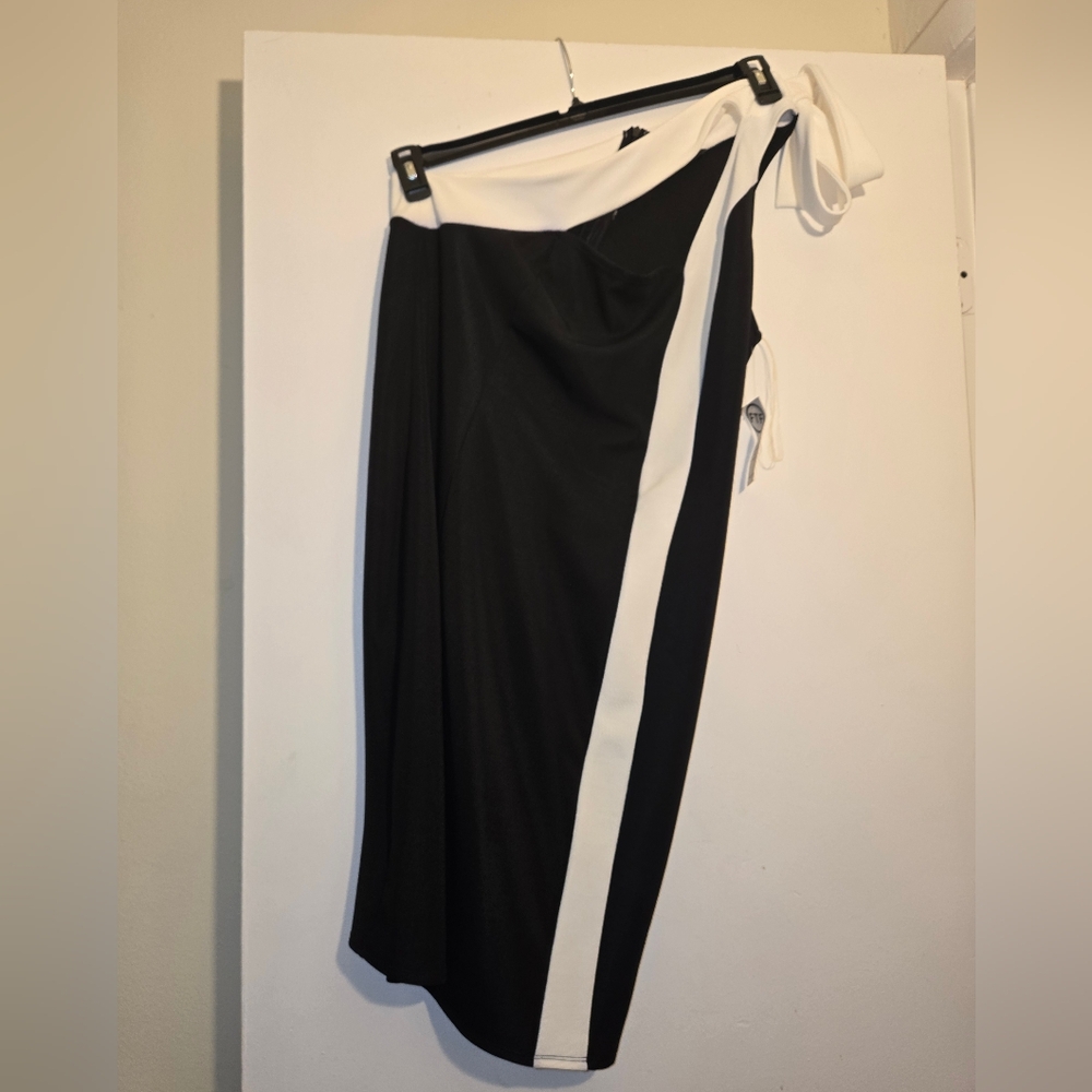 NWT Colorblock Dress